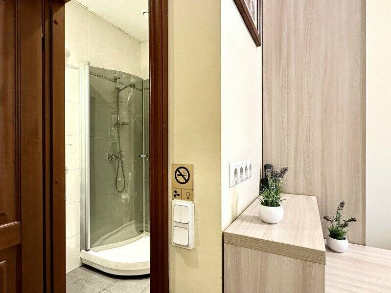 Фотографии номера Двухместный номер с 1 кроватью в Мини-отеле Невский контур Санкт-Петербург